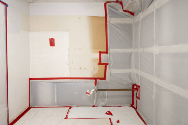 Mold Odor Removal Services