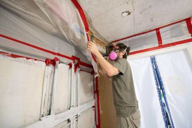 Mold Documentation for Insurance Claims in Suamico, WI